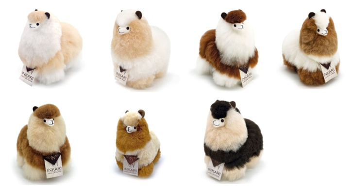 Consumer products — recalled consumer products (photo 2)