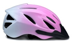 Consumer products — recalled consumer products
