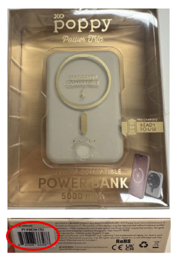 Truststone Group Adapter/Power Supply/Charger/Battery — recalled adapter/power supply/charger/battery (photo 3)