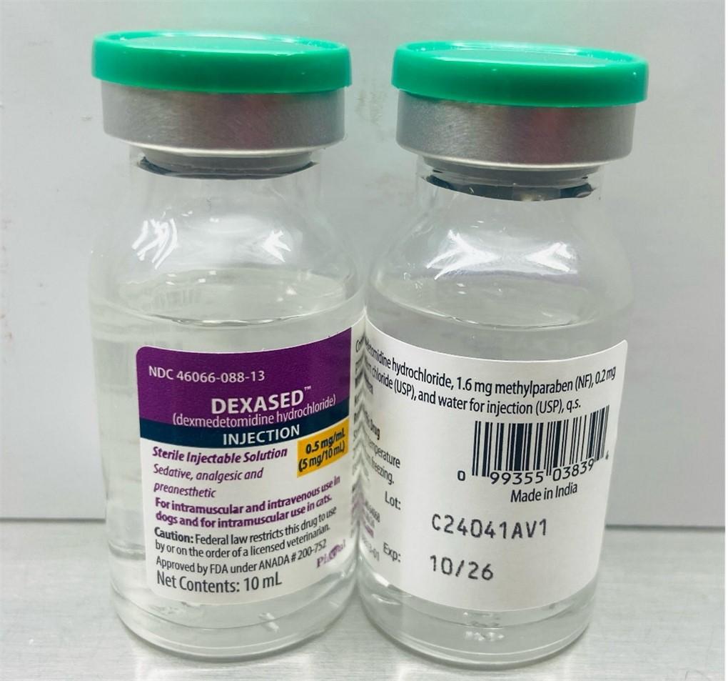 Dexased™ and Dexmedvet™ Pet food & treats — recalled pet food & treats
